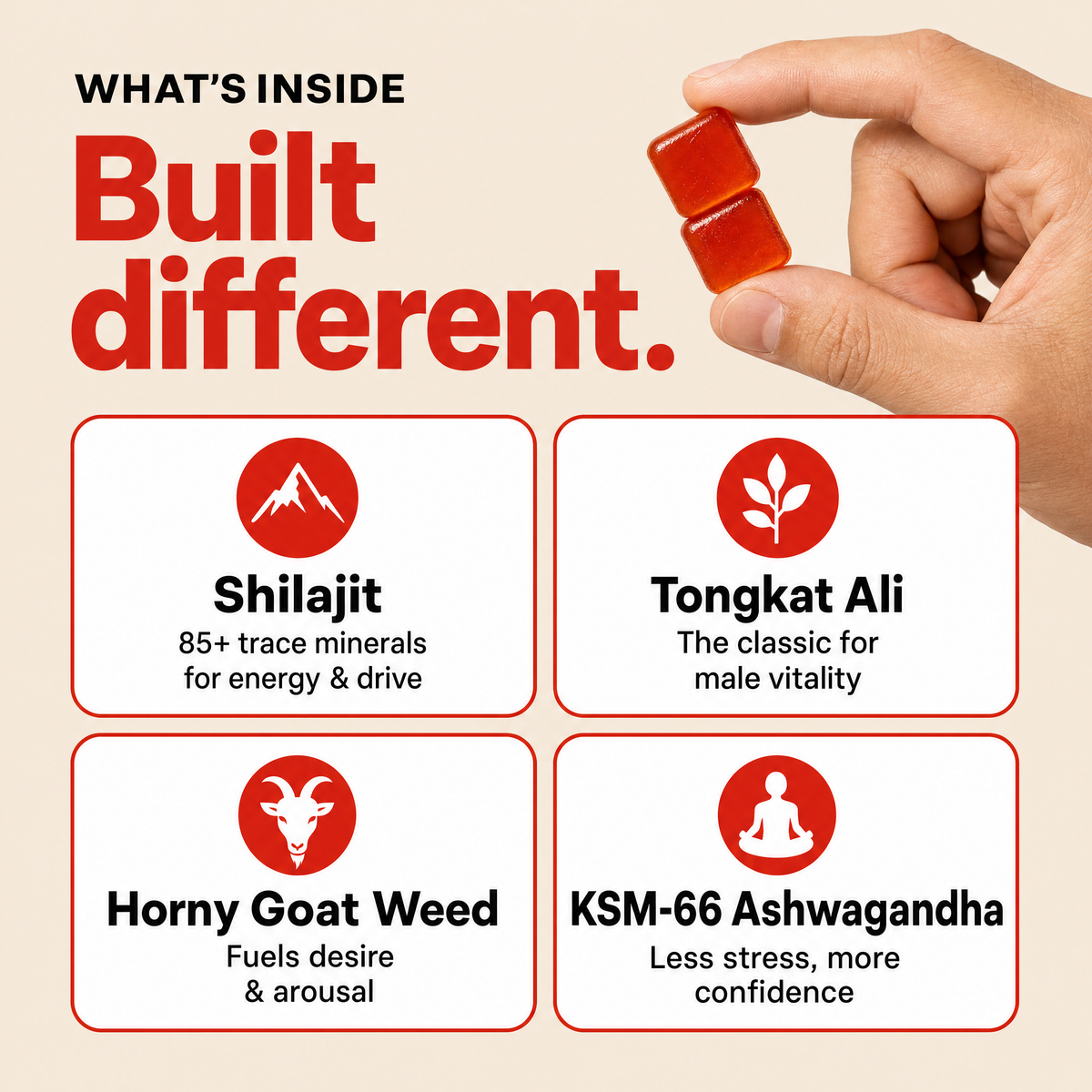 What's inside BonaMaxx RISE Gummies